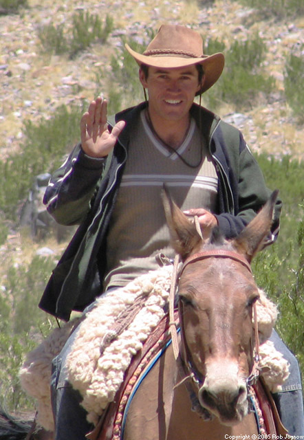 re: Is Mike Huckabee the Moron Whose Presidency Was Foretold?