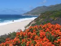 Big Sur
