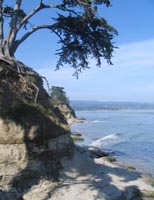 'The Hook' in Santa Cruz