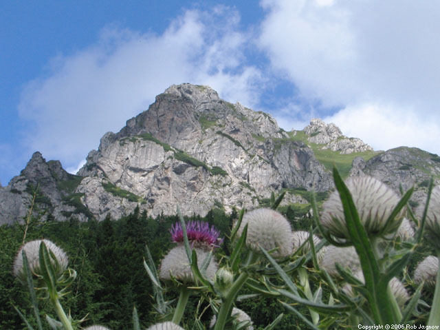 http://www.robjagnow.com/travel/slovakia05/images/IMG_3045.jpg