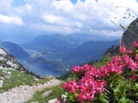 Mt. Pilatus hiking trail
